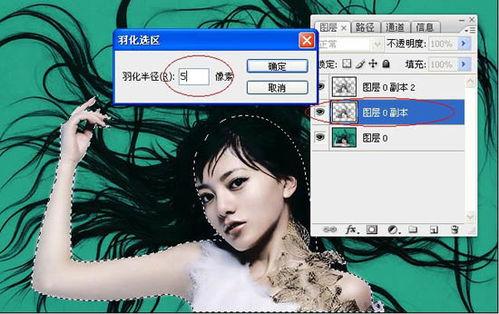 在头条上怎么保护头发,揭秘如何在快节奏生活中有效保护头发