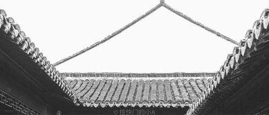 今日头条水墨拍摄,今日头条捕捉古韵风情