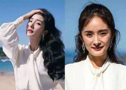 式镜当明星,探索式镜当红现象