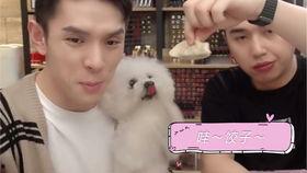 m姓的香港明星,揭秘m姓香港明星的璀璨人生