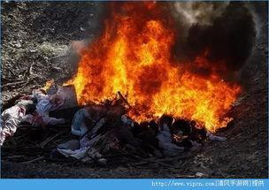 鬼乡手机在线观看,揭秘神秘村落惊悚之谜