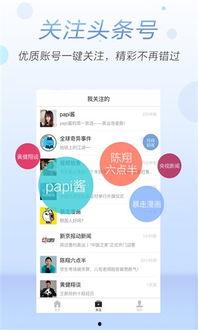 头条视频直播的设备名称,探索背后的设备奥秘