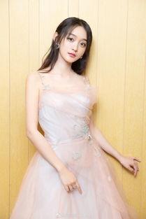 何泓姗黑历史爆料视频,视频爆料引发网友热议