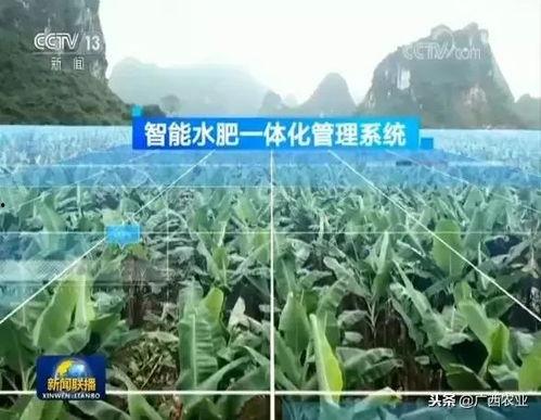 头条新闻广西桂平天气